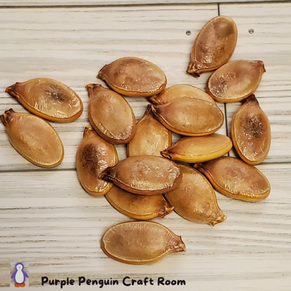 Large Pumpkin Seeds for Crafting